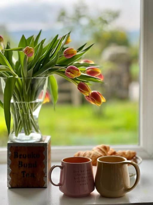 Cosy Country House In Deeside Finzean Rom bilde