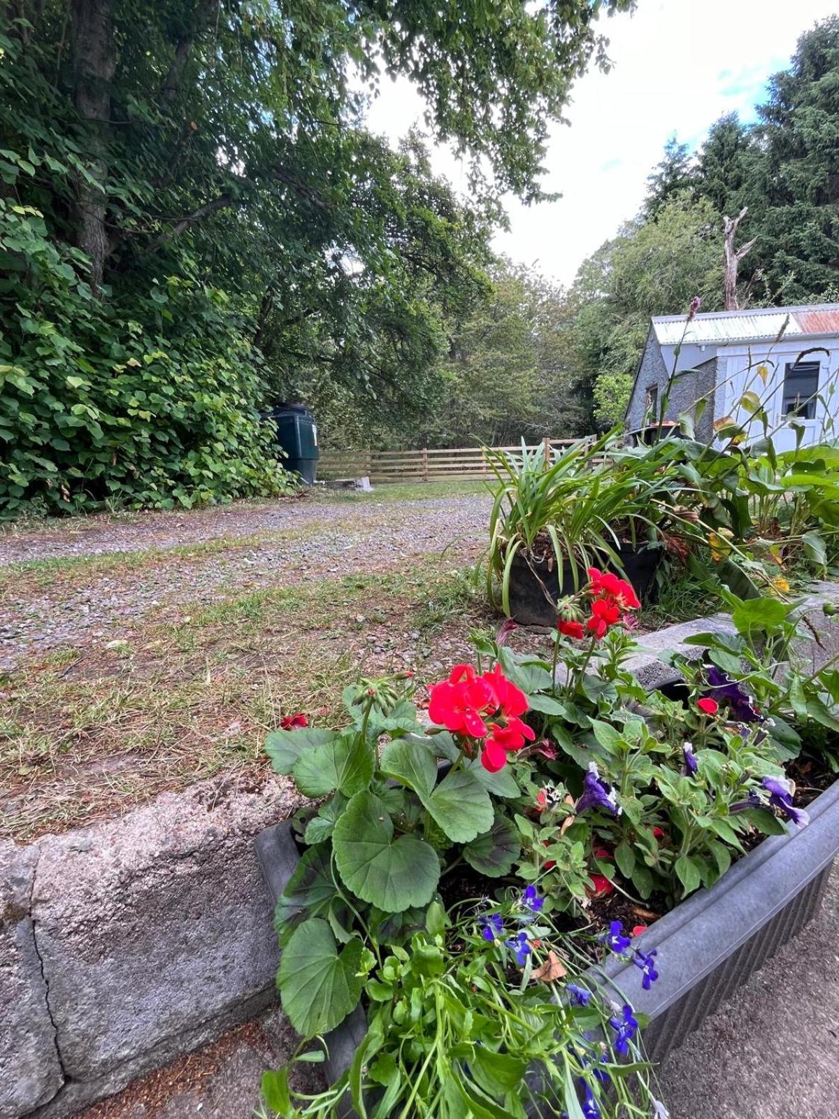 Cosy Country House In Deeside Finzean Eksteriør bilde